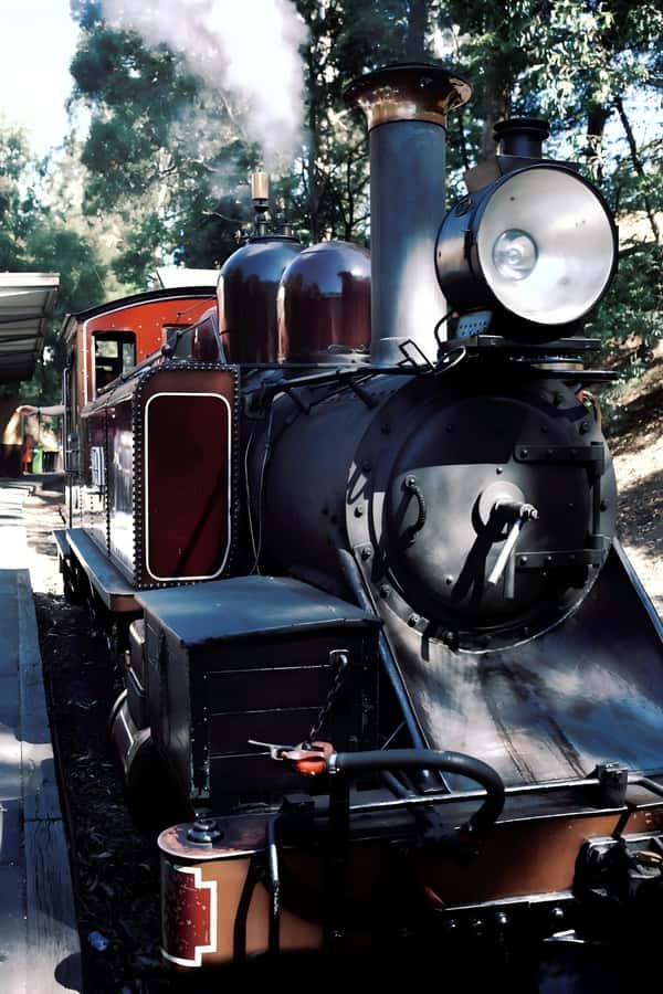 Melbourne: Puffing Billy Train & Healesville & Winery Tour - Healesville Sanctuary and Australia’s Platypus Tank