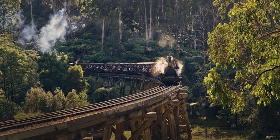 Melbourne: Puffing Billy Train & Healesville & Winery Tour - Brighton Beach Bathing Boxes in 40 Minutes