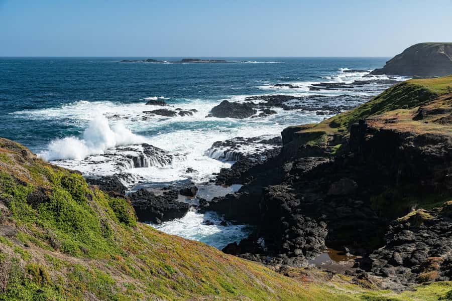 Melbourne: Puffing Billy Train & Penguin Island Excursion - The Nobbies viewpoint and Phillip Island’s coast