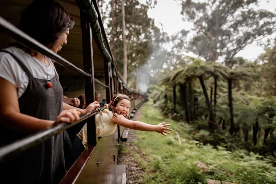 Melbourne: Puffing Billy Train & Penguin Parade Adventure - Starting from central Melbourne