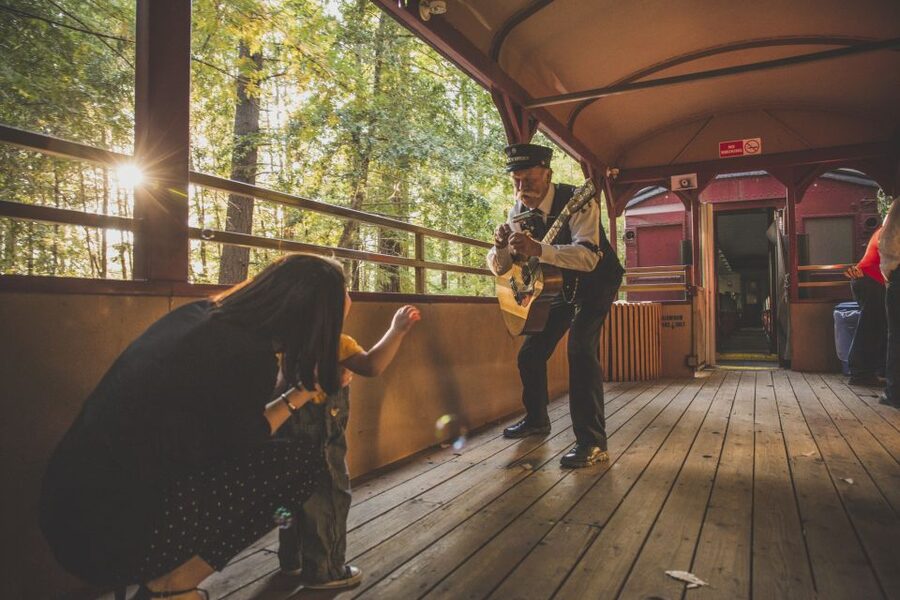 Mendocino County: Skunk Train Wolf Tree Turn Train Ride - Riding Into Noyo River Canyon