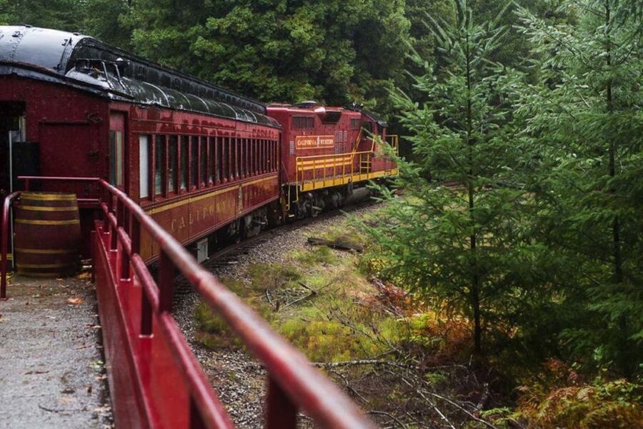 Mendocino County: Skunk Train Wolf Tree Turn Train Ride - What the Two-Hour Ride Feels Like