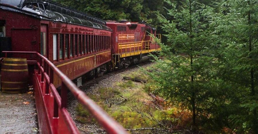 Mendocino County: Skunk Train Wolf Tree Turn Train Ride - How Much Redwood Forest Will You See?