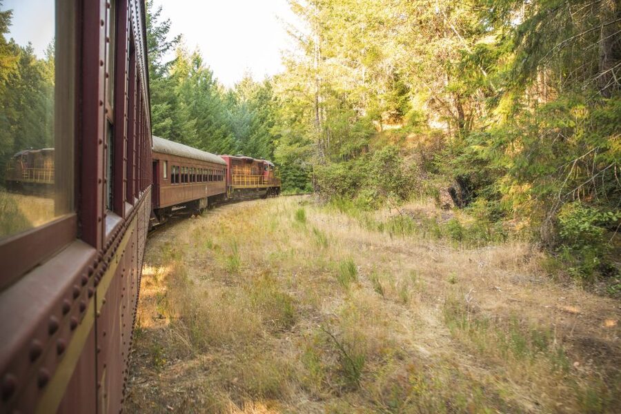 Mendocino County: Skunk Train Wolf Tree Turn Train Ride - Food, Drinks, and Comfort