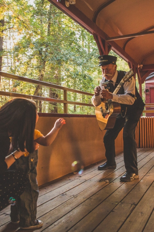 Mendocino County: Skunk Train Wolf Tree Turn Train Ride - Booking Details That Matter