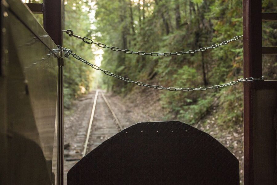 Mendocino County: Skunk Train Wolf Tree Turn Train Ride - The Crowley Stop and the Wolf Tree