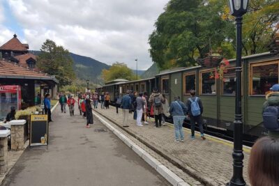 Mokra Gora toure with a Šargan 8 train ride