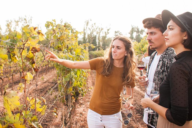 Montserrat & Cogwheel Train, Gourmet Wine Tasting & Tapas/Lunch - Price, pace, and practical value
