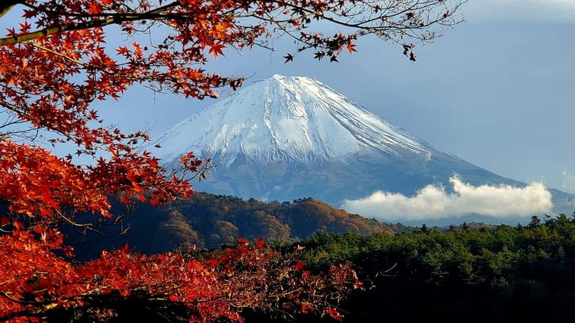 Mount Fuji & Hakone Private Tour with Bullet Train Return - Key points to know before booking
