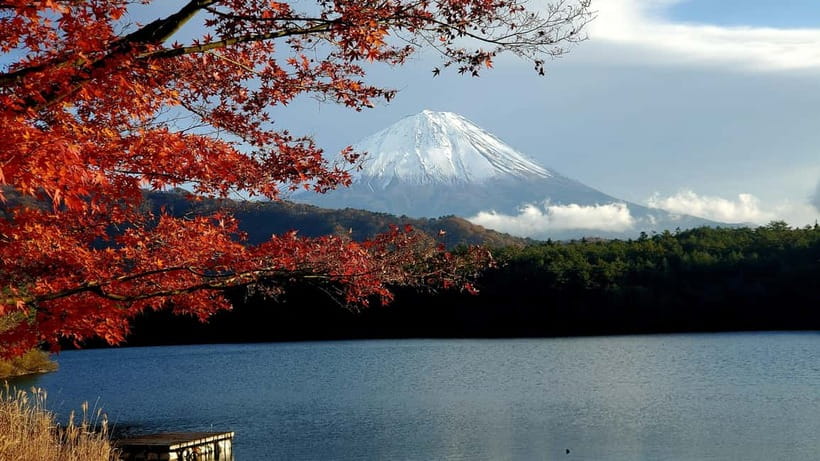 Mount Fuji & Hakone Private Tour with Bullet Train Return - The Shinkansen return from Odawara