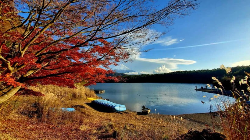 Mount Fuji & Hakone Private Tour with Bullet Train Return - Fuji Sengen Shrine and the mountain’s sacred side