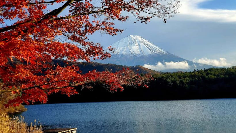 Mount Fuji & Hakone Private Tour with Bullet Train Return - Lake Ashi and Hakone’s calmer side