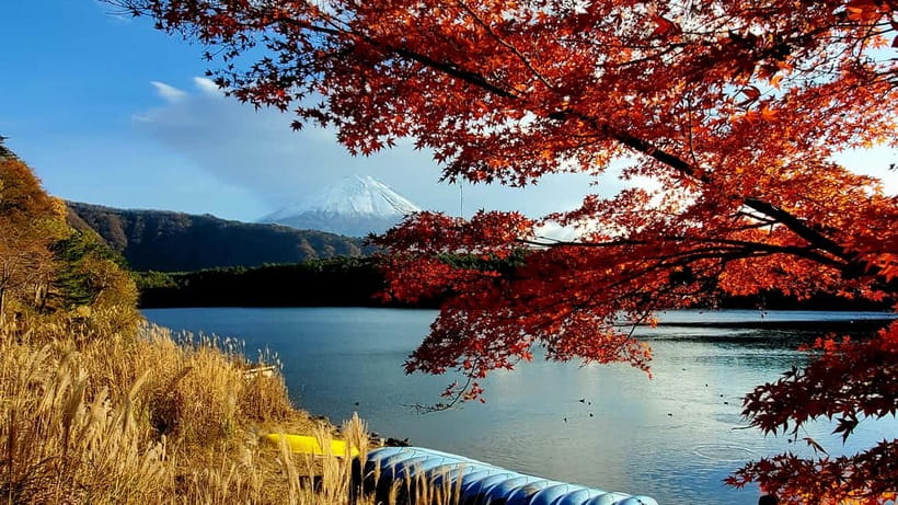 Mount Fuji & Hakone Private Tour with Bullet Train Return - Chureito Pagoda and the classic Fuji photograph