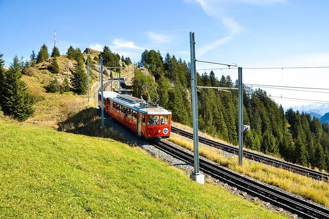 Mount Rigi Tour from Lucerne Historic Train and Boat Ride - Down to Vitznau by mountain railway