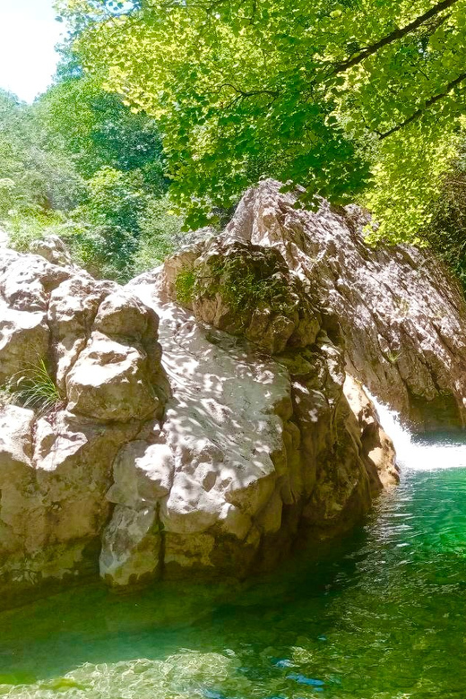 Mountain Train Experience: Hike & Mystic Forest (From Nice) - Lunch in Entrevaux and what to budget