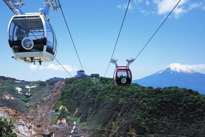 Mt. Fuji and Hakone Day Trip From Tokyo with Bullet Train Option - A big Fuji and Hakone day without the transit puzzle