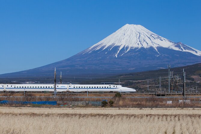 Mt. Fuji and Hakone Day Trip From Tokyo with Bullet Train Option - Mt. Fuji’s 5th Station gives you the first big view