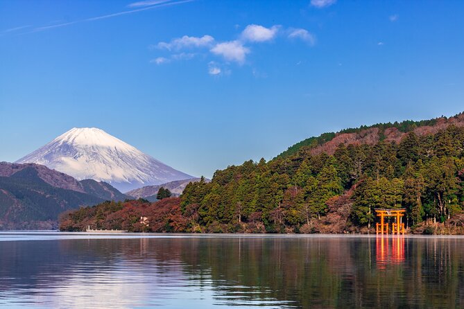 Mt. Fuji and Hakone Day Trip From Tokyo with Bullet Train Option - Owakudani shows Hakone’s volcanic side