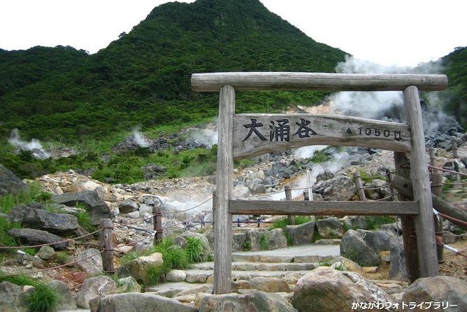 Mt. Fuji and Hakone Day Trip From Tokyo with Bullet Train Option - Lunch can help, but it is not the main reason to book