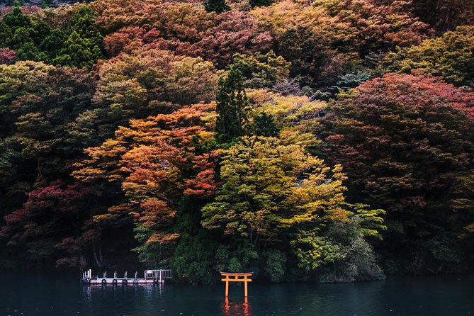 Mt Fuji & Hakone Cruise, Drum Show Bullet Train 1 Day from Tokyo - Who will get the most from this tour