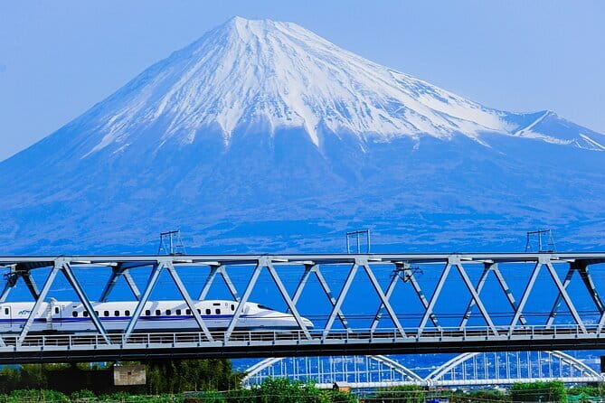 Mt Fuji & Hakone Private Tour from Tokyo: Return by Bullet Train - Key points to know before booking