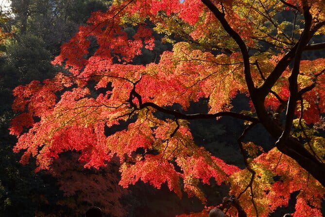 Mt Fuji & Hakone Private Tour from Tokyo: Return by Bullet Train - A bullet train return that saves road time