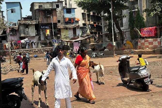 Mumbai Slum Tour with Dhobi Ghat Laundry & Train Ride Tour - What the $11.36 price covers
