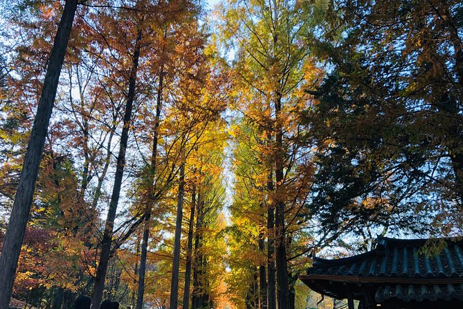 Nami+Alpaca+Garden of Morning Calm (+Rail Bike Option) - Why this day trip works beyond Seoul