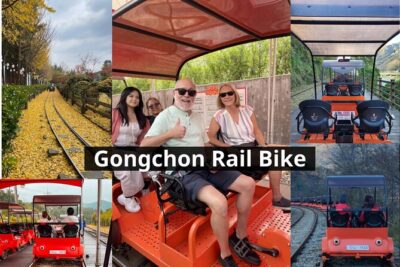 Nami Island & Petite France & Italian Village & Gangchon Rail Bike One-Day Tour