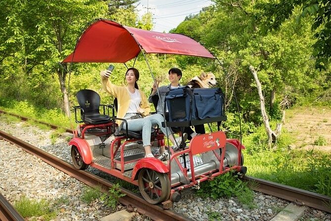 Nami Island & Petite France & Italian Village & Gangchon Rail Bike One-Day Tour - Who should book this Seoul day trip?