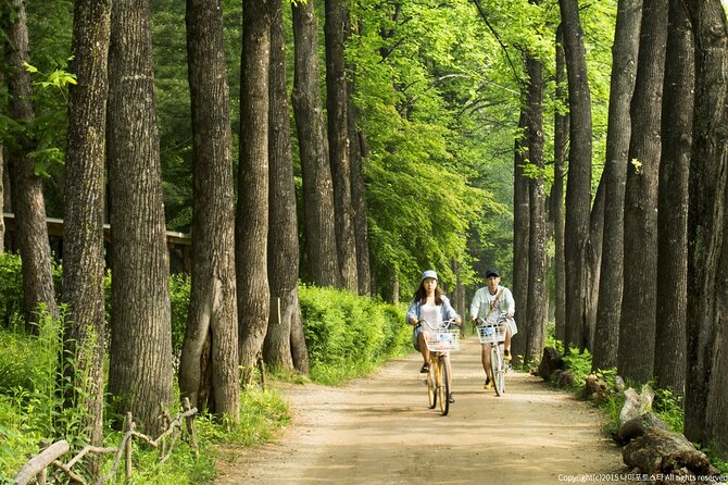 Nami Island Trip with Petite France & Italian Village and Gangchon Rail Bike - Food, transport, and the real cost of $80.95