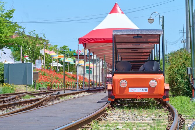 Nami Island Trip with Petite France & Italian Village and Gangchon Rail Bike - Timing, weather, and seasonal changes