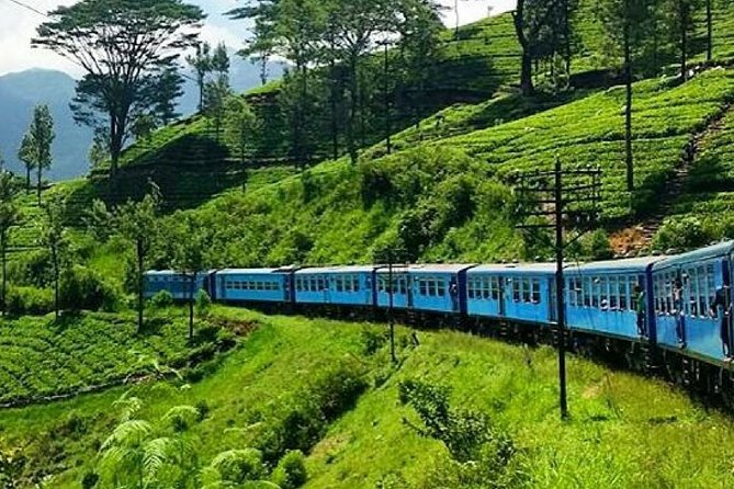 Nanu Oya to Ella train ride on (Train No: 1005 "Podi Menike") - Why the Nanu Oya to Ella train is worth your time