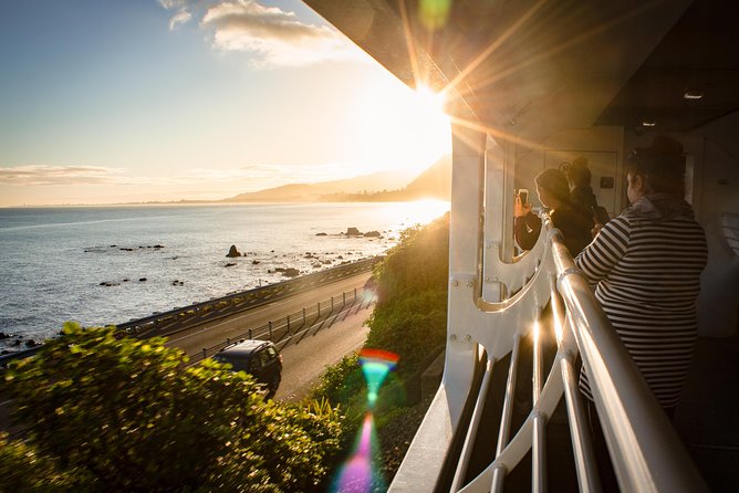 Northern Explorer Train Journey from Auckland to Wellington - Comfort, café service, and the viewing carriage