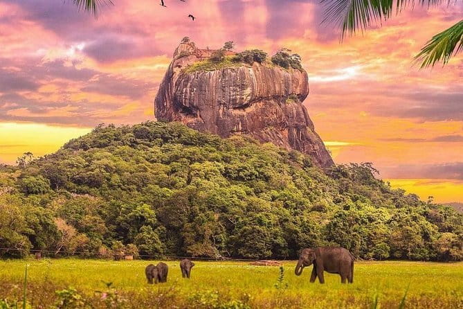 Nuwara Eliya Highlights: Waterfall, Tea & Picturesque Train Ride - Should You Book It?