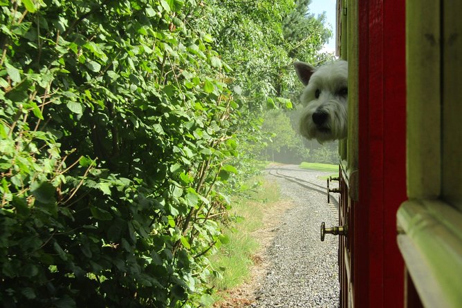 Oakfield Park Day Pass and Train Ride - What the three-hour visit feels like