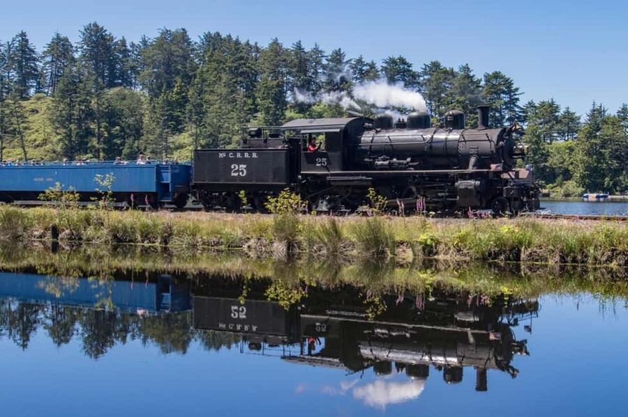 Oregon Coast: Scenic Railroad Excursion Along Coastline - Choosing between four seating options