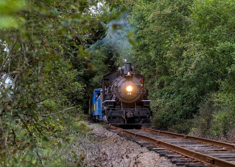Oregon Coast: Scenic Railroad Excursion Along Coastline - Who will enjoy this Oregon Coast train ride?