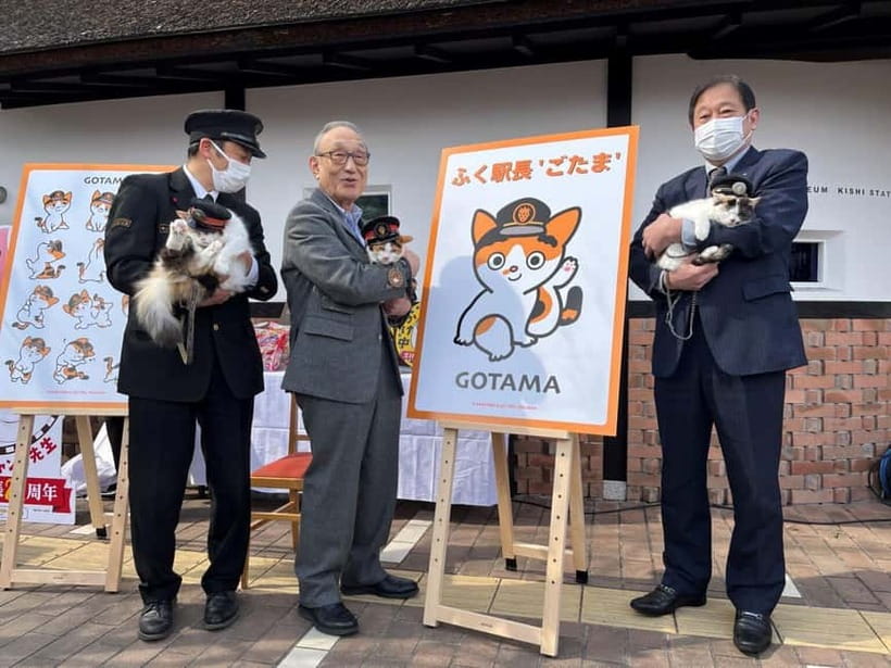 Osaka: Wakayama Cat Train, Seafood market, Hot Springs Tour - Why this Wakayama day trip works