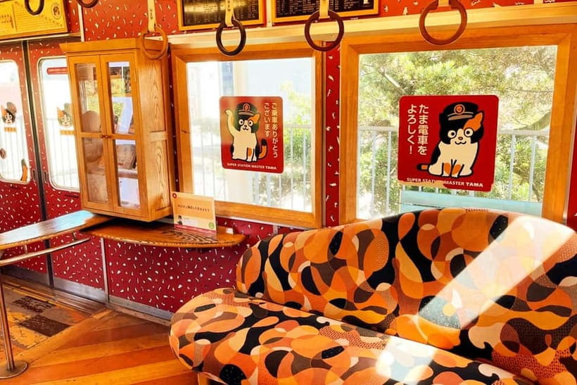 Osaka: Wakayama Cat Train, Seafood market, Hot Springs Tour - Meeting Tiger and getting out of Osaka
