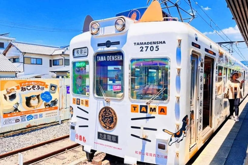 Osaka: Wakayama Cat Train, Seafood market, Hot Springs Tour - ToreTore Market and the tuna cutting show