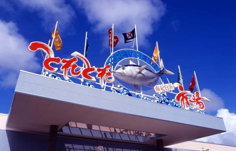 Osaka: Wakayama Cat Train, Seafood market, Hot Springs Tour - Who should book this tour?