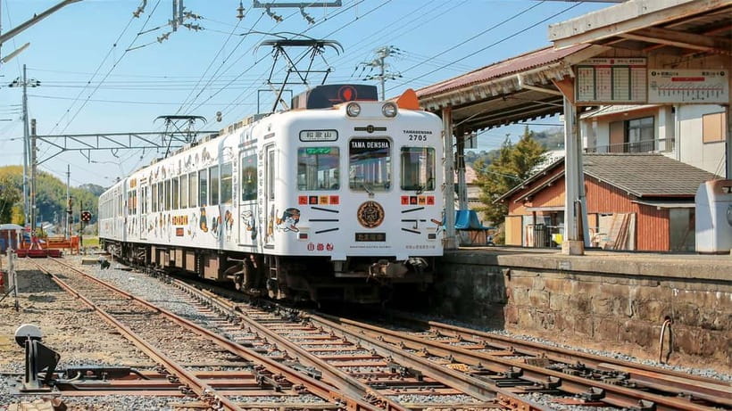 Osaka: Wakayama Cat Train, Seafood market, Hot Springs Tour - Kishi Station and the Tama train