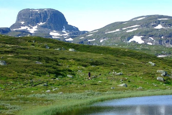 Oslo To Sognefjord Private Full Day Roundtrip Including Flam Railway - Flåm, the railway, and the waterfall stop