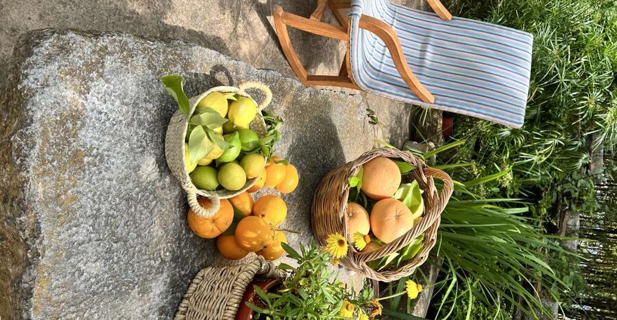 Palma: Orange Valley Vintage Train and Orange Farm Tour - Key points at a glance