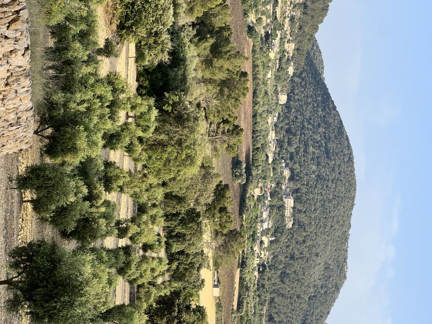 Palma: Orange Valley Vintage Train and Orange Farm Tour - From Palma station to the Orange Valley