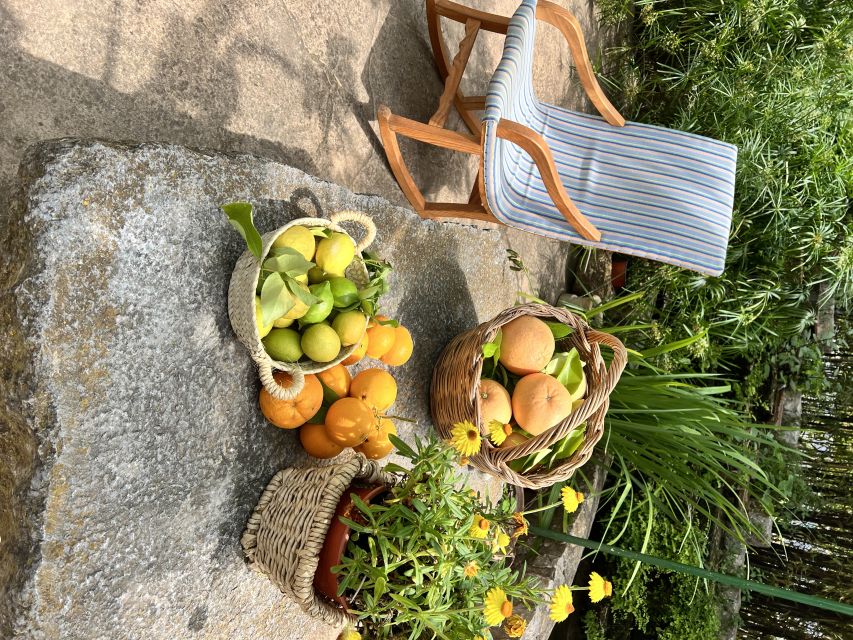 Palma: Orange Valley Vintage Train and Orange Farm Tour - Orange juice, marmalade, and a simple Mallorcan picnic