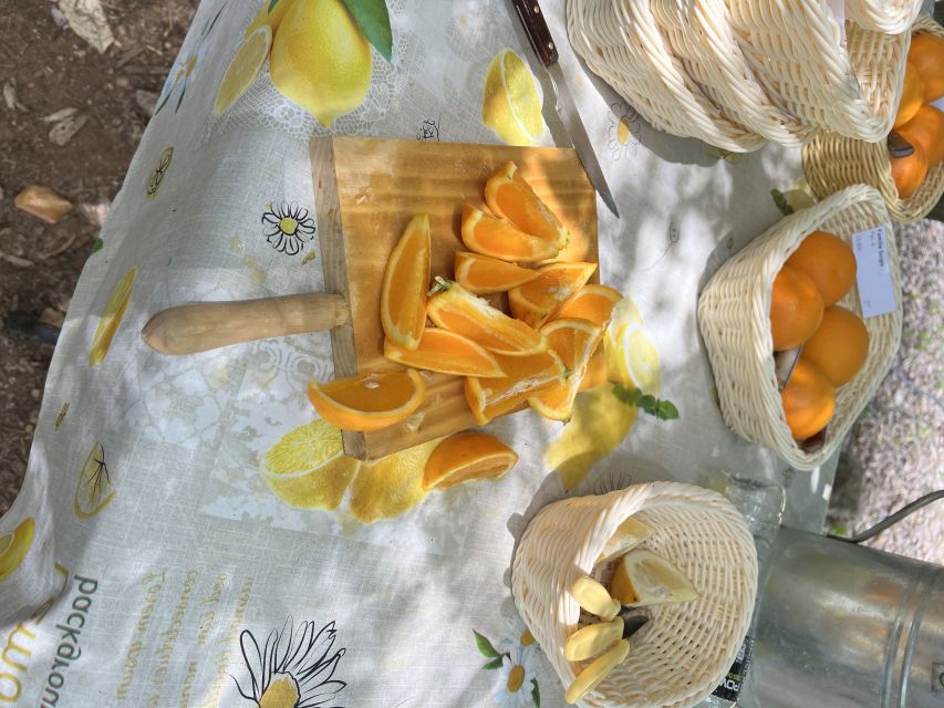 Palma: Orange Valley Vintage Train and Orange Farm Tour - What to pack and what to expect
