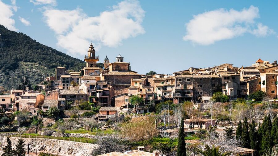 Palma: Tramuntana Full-Day Tour with Sóller Train and Lunch - Port de Sóller and the optional tram ride