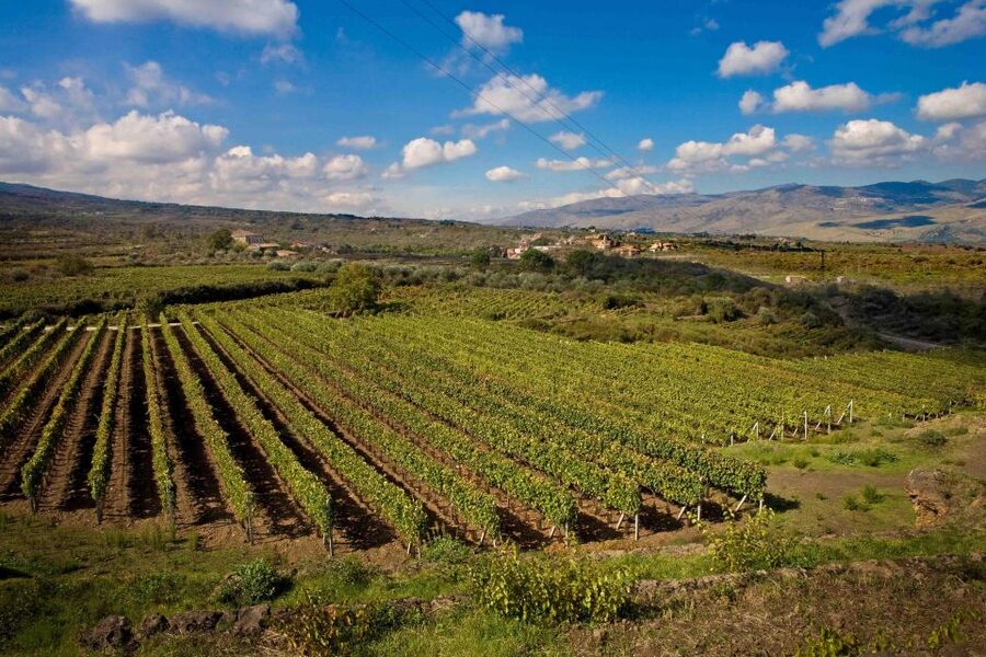 Piedimonte Etneo: Etna Wine Train Tour & Sicily Wine tasting - Why the Circumetnea train makes this Etna tour different